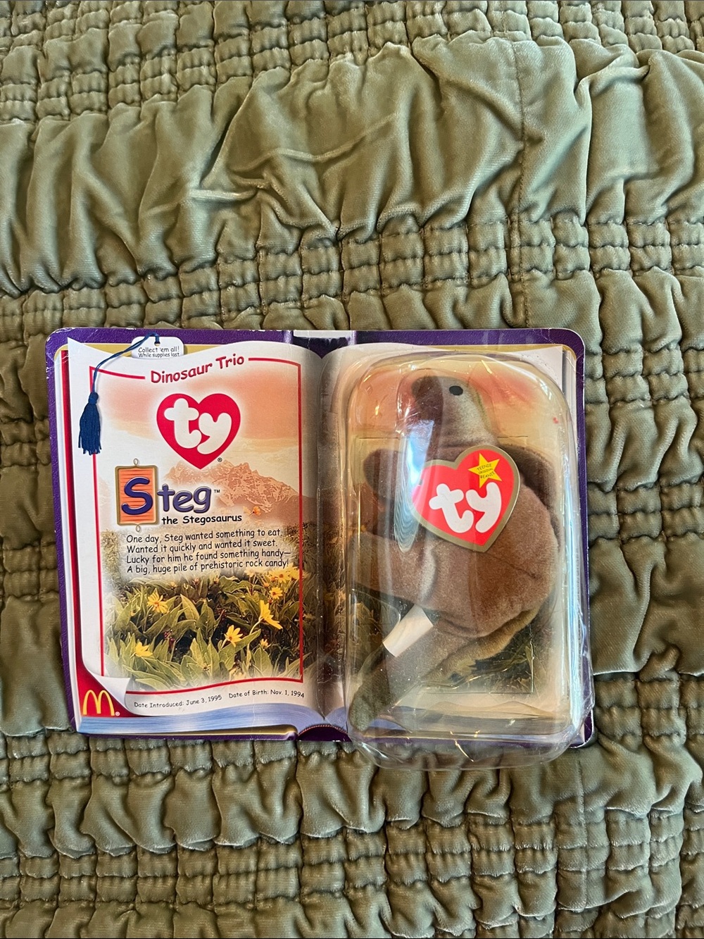Steg beanie baby